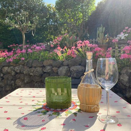 Etna Vintage Hotel Linguaglossa Kültér fotó