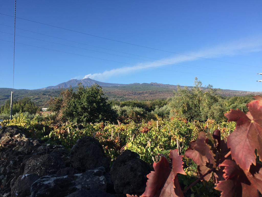 Etna Vintage Hotel Linguaglossa Kültér fotó